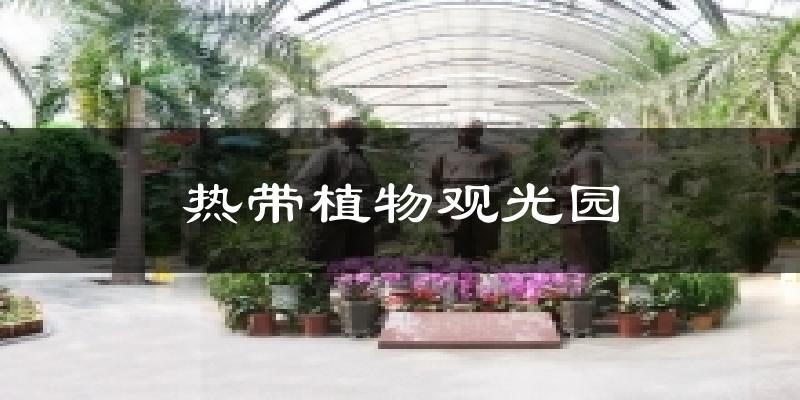 热带植物观光园今日天气